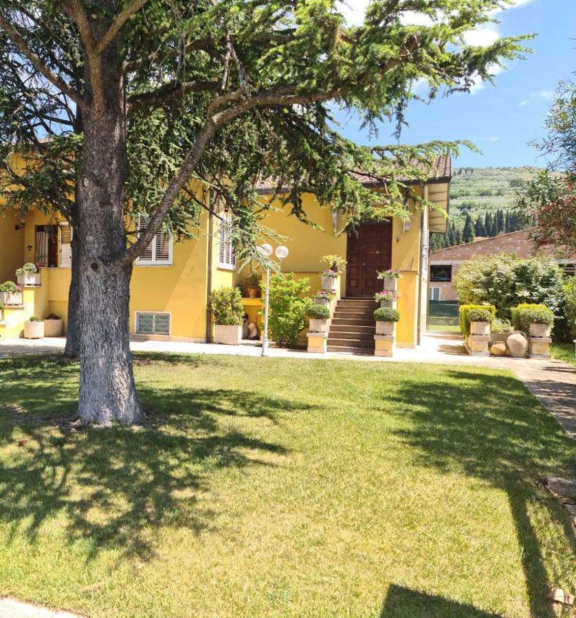 La Finestra Su Spello Apartamento Exterior foto